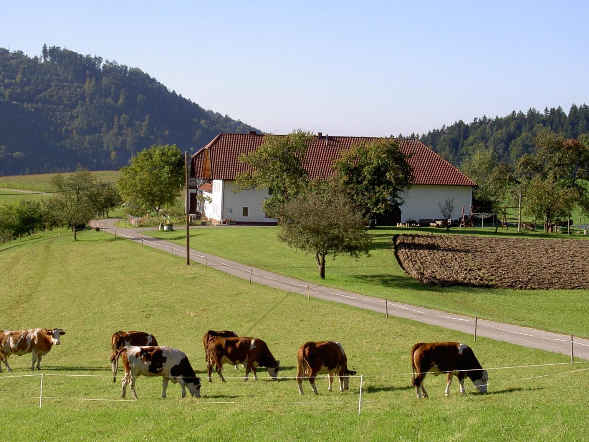 Bauernhof Urlaub Am Bauernhof Wenigeder - Familie Klopf