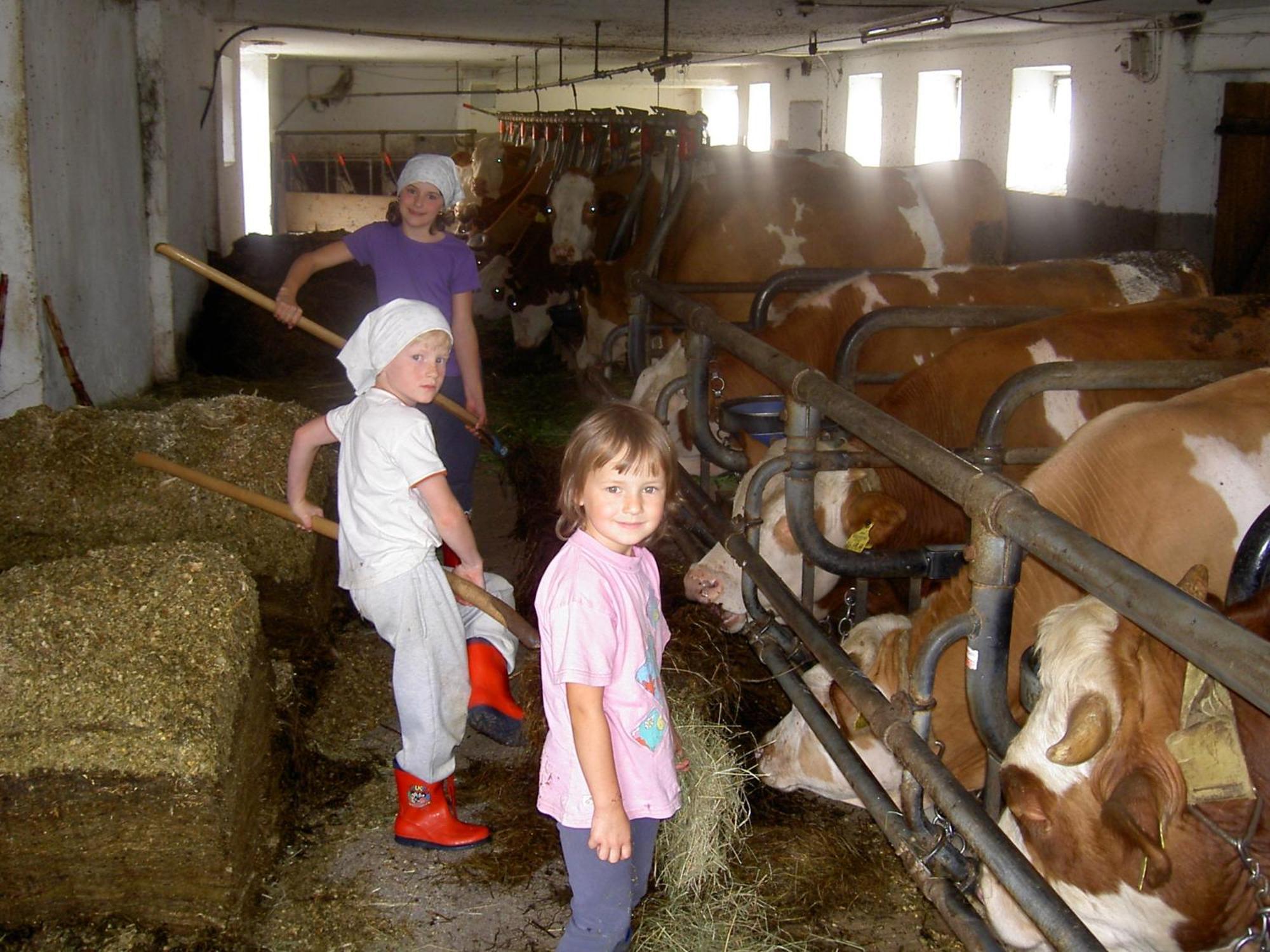 Urlaub Am Bauernhof Wenigeder - Familie Klopf Gutau
