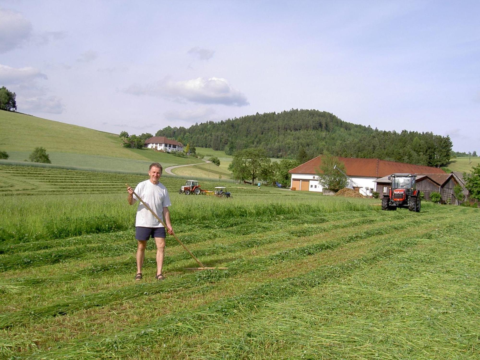 Bauernhof Urlaub Am Bauernhof Wenigeder - Familie Klopf *