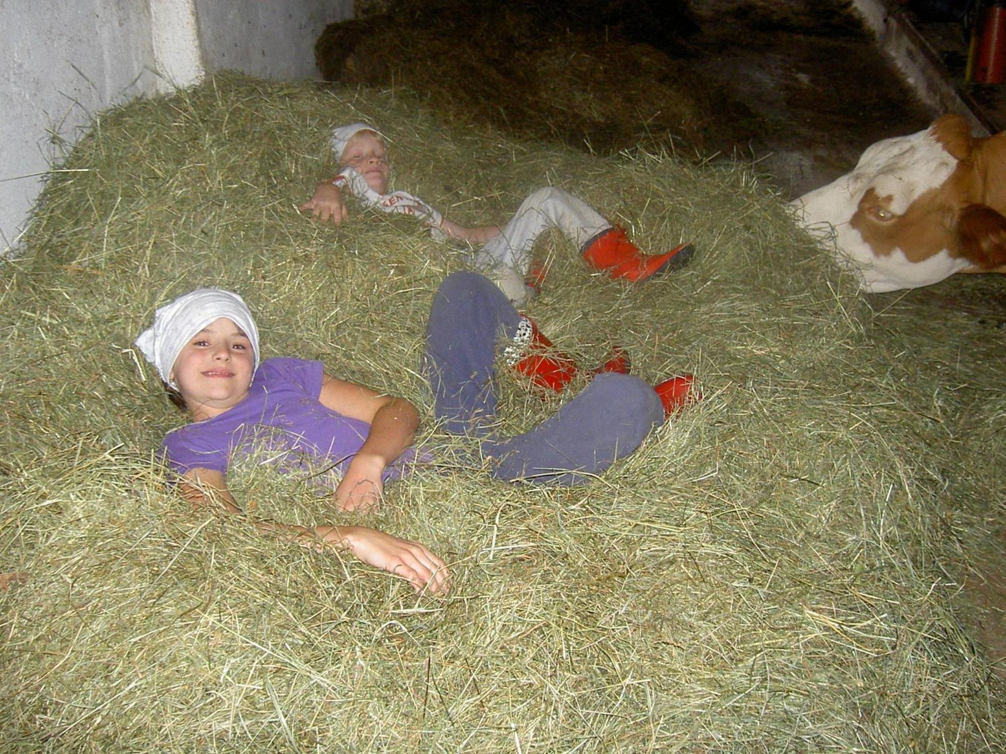 Bauernhof Urlaub Am Bauernhof Wenigeder - Familie Klopf Gutau