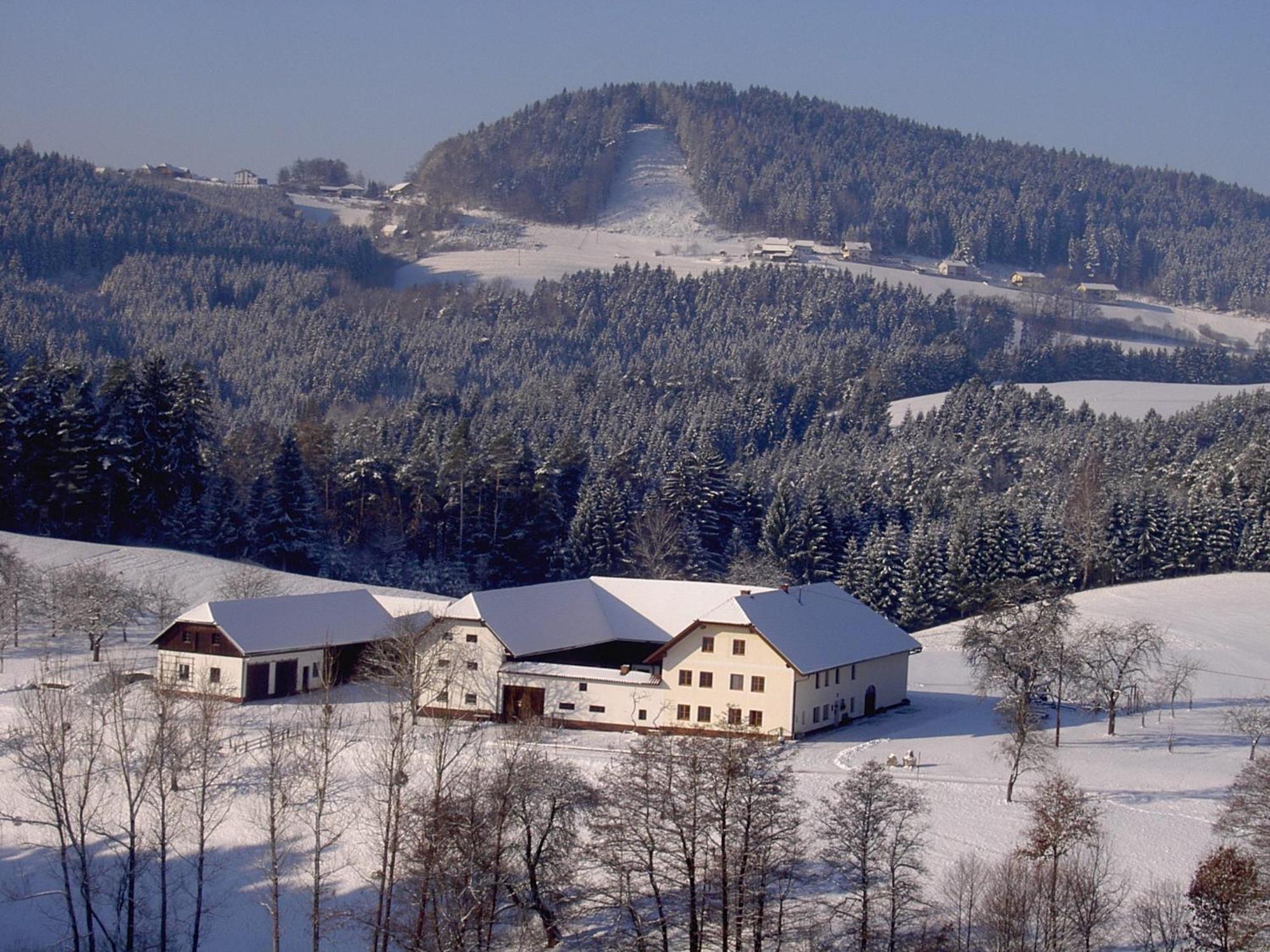 Bauernhof Urlaub Am Bauernhof Wenigeder - Familie Klopf *