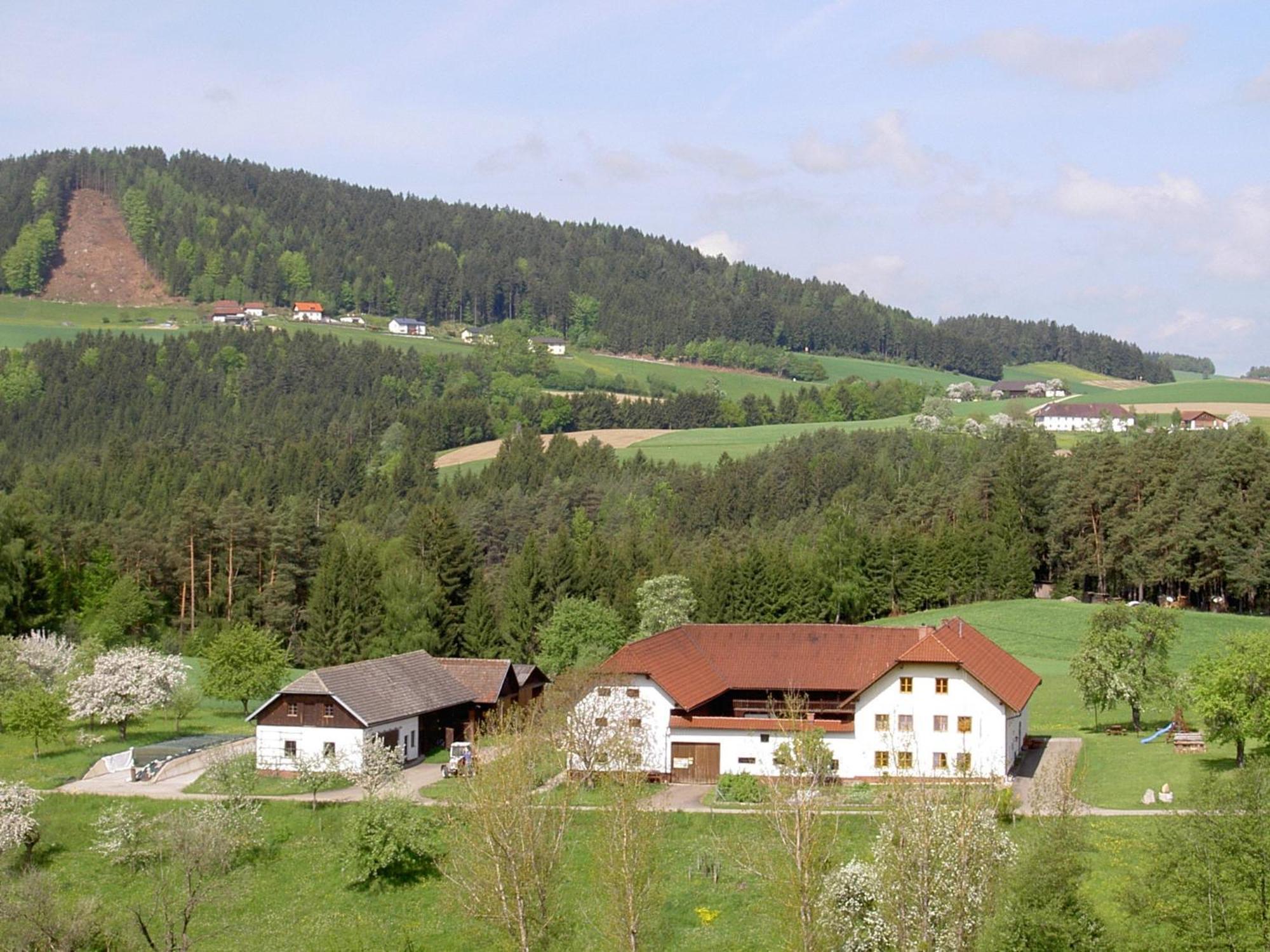 Urlaub Am Bauernhof Wenigeder - Familie Klopf Bauernhof